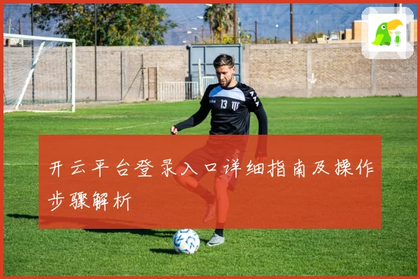 开云平台登录入口详细指南及操作步骤解析