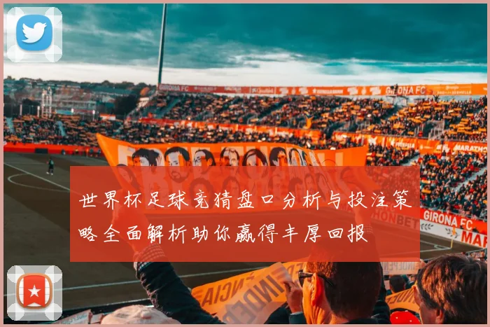 世界杯足球竞猜盘口分析与投注策略全面解析助你赢得丰厚回报