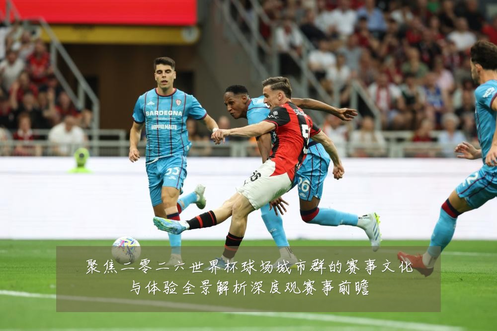 聚焦二零二六世界杯球场城市群的赛事文化与体验全景解析深度观赛事前瞻